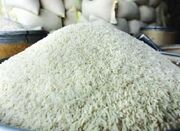 پیگیری ویژه رییس جمهور شهید برای تولید و بازار برنج