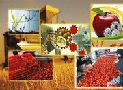 راه اندازی صنایع تبدیلی کشاورزی در مازندران ضروری است - اکونیوز