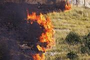 مهار آتش سوزی در ارتفاعات صعب‌العبور کبیرکوه آبدانان - اکونیوز