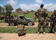 کشته شدن ۴۷ تروریست الشباب در مرکز سومالی - اکونیوز
