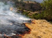 تصاویری از آتش سوزی گسترده در جنگل های زرنه ایوان - اکونیوز