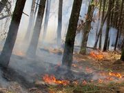 ۸۰کیلومتر آتش برتوسط محیط بانان درمنطقه حفاظت شده دنا اجرا م... -