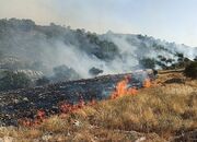آتش‌سوزی در جنگل‌های فلات شهرستان سرچهان مهار شد - اکونیوز