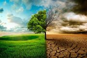 خسارت ۲۰۰ هزار میلیارد تومانی کشاورزی از تغییر اقلیم - اکونیوز