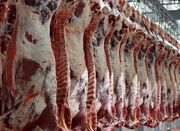 ۱۸۰ تُن گوشت قرمز در استان قزوین توزیع شد - اکونیوز