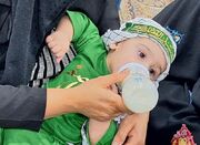همایش شیرخوارگان حسینی در گناوه برگزار شد3719009 - اکونیوز