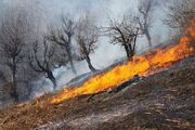 آتش‌سوزی ارتفاعات «کچل» گیلانغرب مهار شده است - اکونیوز