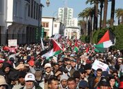 راهپیمایی در ۴۰ شهر مغرب در حمایت از غزه - اکونیوز