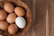 تخم مرغ قهوه‌ای رنگ نشانه ارزش غذایی بالا نیست - اکونیوز