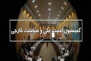 نمایندگان کمیسیون امنیت ملی در برخی از مجامع و شوراها تعیین ... -