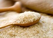 برنج وارداتی کماکان مشمول دریافت ارز ترجیحی باقی ماند - اکونیوز