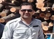 جنگلبان کردستانی آسیب دیده از اطفای حریق درگذشت - اکونیوز