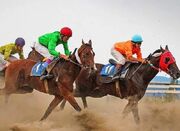 اسب‌های خراسان شمالی در بندر ترکمن درخشیدند - اکونیوز