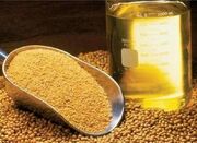 روغن نباتی از اول سال منتظر اختصاص ارز - اکونیوز