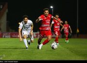 کرمانی‌مقدم: شناخت گل‌محمدی پرسپولیس را به دردسر انداخت - اکونیوز