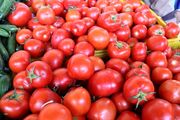 جدیدترین قیمت گوجه‌فرنگی اعلام شد