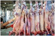 خبر مهم گمرک درباره واردات کالاهای اساسی/واردات گوشت در سال جاری چند برابر شد؟