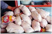 آخرین وضعیت تولید مرغ در کشور/ هدف گذاری صادرات ماهانه ۱۵ هزار تن مرغ برای سال جاری