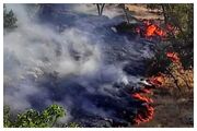آخرین وضعیت آتش سوزی جنگل های خائیز/ دامنه آتش در حال گسترش است + عکس
