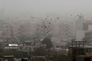 هشدار هواشناسی برای تهرانی‌ها/وزش شدید باد