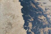 مشاهده آلودگی نفتی در ساحل گناوه/ محیط زیست: علت، در دست بررسی است
