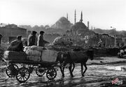 عکس/ ۸۰ سال قبل؛ یک روز عادی در استانبول