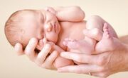 بررسی تخلفات سقط عمدی جنین جهت صدور احکام قضایی