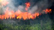 ببینید/ آتش سوزی وسیع در جنگل‌های ترکیه