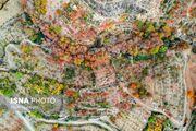 (تصاویر) پاییز هزار رنگ در روستای شیت
