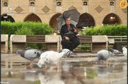 (تصاویر) بارش باران در کردستان عراق