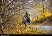 (تصاویر) پاییز رنگارنگ کردستان
