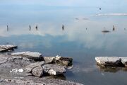 (تصاویر) به امید زندگی دوباره در دریاچه ارومیه