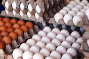 قیمت تخم مرغ در بازار امروز ۲۰ اسفند ۱۴۰۲
