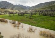 (تصاویر) طغیان رودخانه‌های فصلی کردستان