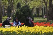 (تصاویر) جشنواره گل‌های لاله در مشهد