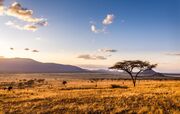 هشدار؛ تغییرات آب‌وهوایی چشمگیر آفریقا