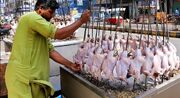 (ویدئو) غذای خیابانی در پاکستان؛ کباب ۲۰ مرغ در کراچی