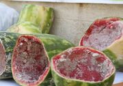 جزییات کشف ۳ کیلو مخدر شیشه از هندوانه‌های اهدایی