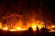 جنگل‌های کرخه در آتش سوخت!