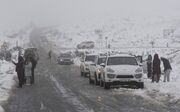 (ویدئو) بارش نادر برف در آفریقای جنوبی