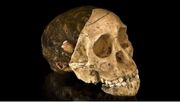 فسیل مشهور «کودک تاونگ» با ۲.۵۸ میلیون سال قدمت
