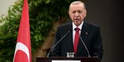 تماس «اردوغان» با «هرتزوگ» درباره تحولات غزه