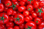 قیمت گوجه فرنگی به ۴۰ هزار تومان رسید | تا دو هفته آینده گوجه فرنگی نخرید!