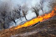 مهار آتش سوزی یک هکتار از جنگل های تالش