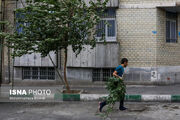 پیش بینی وزش باد طی ۵ روز آینده در تهران