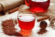چای خورها این چای را امتحان کنید | نوشیدنی بی‌نظیری که کلسترول خوب را افزایش می‌دهد
