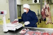 کاهش محسوس قیمت مرغ | قیمت گوشت قرمز و دام امروز پنجشنبه ۱۷ خرداد