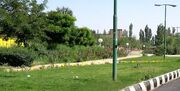 طرح توسعه 50 هزار هکتار جنگل‌کاری کمربند سبز پیرامون شهر تهران تکمیل می شود