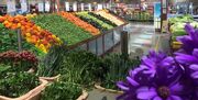 افتتاح ۴۰ بازار تره بار در پایتخت تا پایان سال جاری