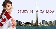 ۳ تا از بهترین رشته‌های تحصیلی در کانادا + معرفی بهترین سازمان مهاجرتی برای اخذ ویزای تحصیلی